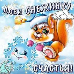 С белочками Открытка белочка с днём рождения. Прикольные открытки с белочкой.