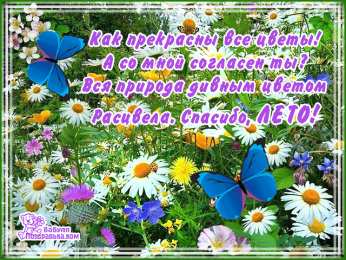 Про лето Открытки с приколами про лето. Открытки про лето прикольные.