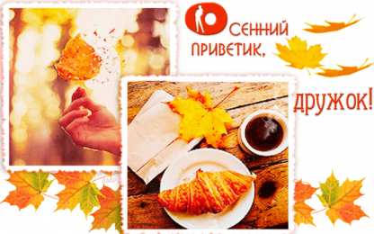 Осенний приветик Прикольные картинки осенний Привет. Красивые картинки осенний Привет. 