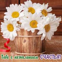 С ромашками Картинки с ромашками. Картинки Спокойной ночи с ромашками.  