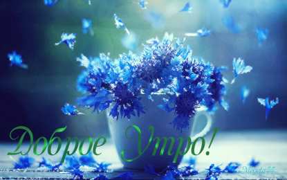 С васильками Картинки с васильками. Картинки с васильками с днём рождения.