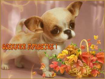 Осенний приветик Открытки осенний Приветик. Бесплатные открытки осенний Привет.