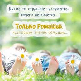 С ромашками Открытка с ромашками на 8 марта. Открытка с ромашками Спасибо.