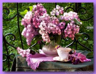 С сиренью Открытки С днём сирени. Поздравительные открытки с сиренью. 