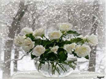 С белыми розами Шикарные Белые розы фото. Белые розы фото букет. Фото Белые розы в вазе.