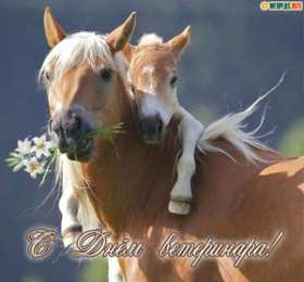 Красивая открытка с днем рождения с лошадью
