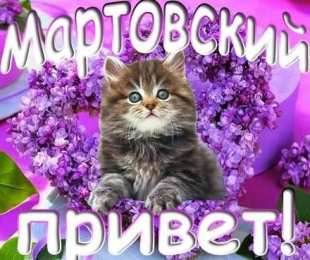 Открытки С сиренью Скачать бесплатно сирень.  Открытки С днём рождения с сиренью. Открытка Сиреневая Нежность, я с корзиной цветов сирени Сиреневый и голубой. Открытка Приятного вечера с букетом сирени. Картинки с днём рождения с сиренью. Скачать бесплатно сирень.