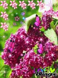 Открытки С сиренью Старые открытки с сиренью.  Открытки с 8 мартом с сиренью.   Открытки с изображением сирени. Картинки с сиренью. Картинки девушка с сиренью. Картинки на рабочий стол с сиренью. Открытка с сиренью. Открытка на 9 мая с сиренью.