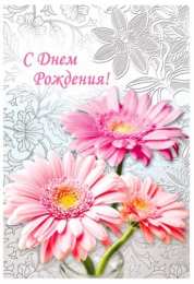 С герберами Оранжевые герберы фото. Герберы фото букетов. Белые герберы фото.