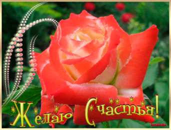 С днем счастья Мерцающая открытка с днём счастье.  Анимационная открытка с днем счастья.