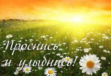 С ромашками Картинки с ромашками. Картинки Спокойной ночи с ромашками.  