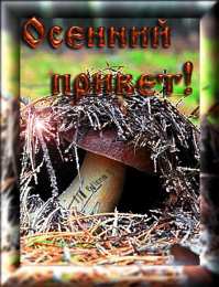 Осенний приветик Прикольные картинки осенний Привет. Красивые картинки осенний Привет. 