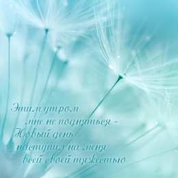 С одуванчиками Одуванчик картинка для детей. Фото одуванчика Одуванчики фотообои.