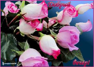 Добрый вечер Картинки вечер прикольные. Картинки прекрасного вечера прикольные.