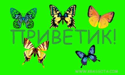 С приветствием Картинки Привет Какие приветствия. Открытка Привет как дела.