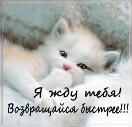 Возвращайся! Картинка Возвращайся скорее я скучаю. Картинка Возвращайся домой.