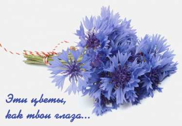 С васильками Васильками с днём рождения. Красивые открытки с васильками. 