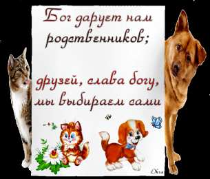 Открытки о дружбе Красивые открытки для друзей. Красивые открытки с пожеланиями.