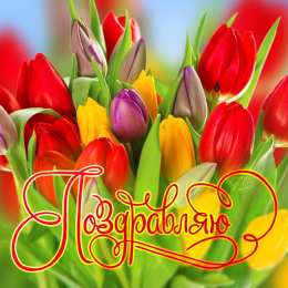 Поздравляю! Открытка с цветами поздравляю. картинки с надписью Поздравляю.