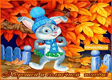 Картинки про погоду Смешные картинки про холодную погоду. Картинки Погода дождь.