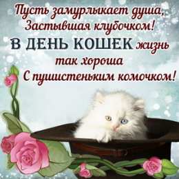 С Всемирным днём кошек Открытка с днем кошек. Открытка с днем кошек и первым днем весны.