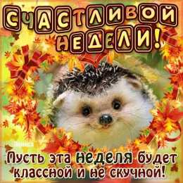 Хорошей недели Пожелания хорошей рабочей недели. Легкого понедельника и удачной недели.