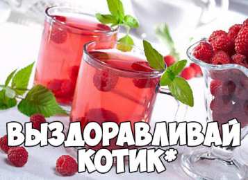 Скорейшего выздоровления  Картинки выздоравливай любимый. Картинка Выздоравливай с приколом.