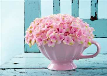 С гортензиями Открытка нарисованная с анимацией розовая и голубая гортензии.