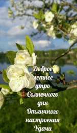 Про лето Открытки с приколами про лето. Открытки про лето прикольные.