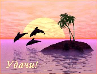 С дельфинами Картинки открытки дельфины на закате. Красивые открытки дельфинов.