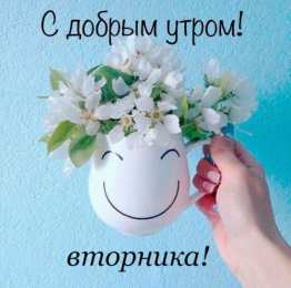 С вторником Картинки Удачного вторника. Удачного вторника картинки анимашки.