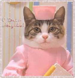 День медика Открытка с днём медицинского работника с красными тюльпанами.