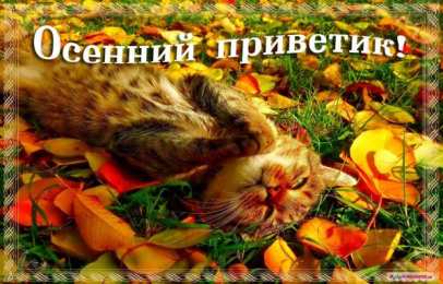 Осенний приветик Прикольные картинки осенний Привет. Красивые картинки осенний Привет. 