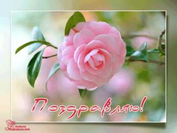 Поздравляю! Картинки с надписью поздравляю. Картинки для поздравления без текста.