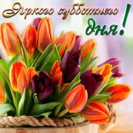 Открытки С субботой Открытки с субботой прикольные. Открытки с субботой бесплатно. Картинка всех с субботой. Картинка с субботой вас. Поздравление с субботой в картинках. Поздравление в картинках в субботу. Поздравления в картинках ах Ура суббота.