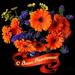 С герберами Скачать бесплатно картинки с герберами. Картинки с цветами герберами.