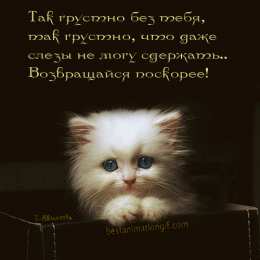 Возвращайся! Картинка Возвращайся скорее я скучаю. Картинка Возвращайся домой.