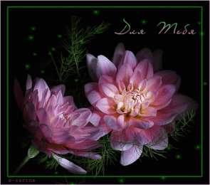 С георгинами Картинка с георгинами. Открытка в День рождения с георгинами.