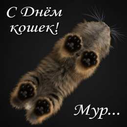 С Всемирным днём кошек Прикольные открытки с Днем кошек. День кошек в России открытки.