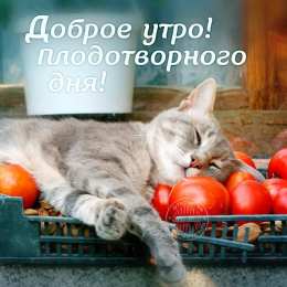 Со средой Середина недели среда! Открытка удачной среды! Открытка Солнечная среды!