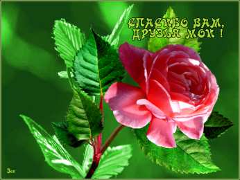 Спасибо Открытка с четверостишьем Спасибо! Открытка Спасибо за тёплые слова!