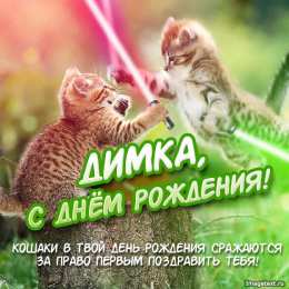 С кошками С днём рождения картинка с кошкой. Спокойной ночи картинка с кошками.