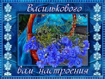 С васильками Картинки с васильками. Картинки с васильками с днём рождения.