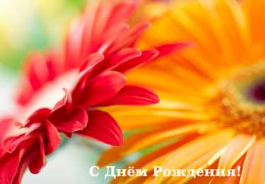 С герберами Открытки С днём рождения с герберами. Открытки с герберами. 