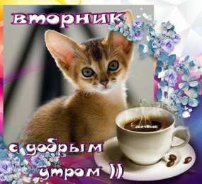 С вторником Картинки Удачного вторника. Удачного вторника картинки анимашки.
