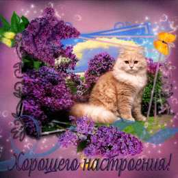 С сиренью Красивые картинки с сиренью. Анимационные картинки с сиренью.