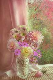 С космеями На цветке Сиреневой космеи. Открытка мерцающая цветки космеи.