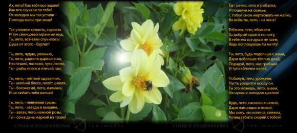 Стихи о лете Анимационные картинки стихи лето. Открытки со стихами о лете.