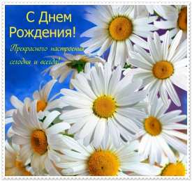 С ромашками Открытка с ромашками на 8 марта. Открытка с ромашками Спасибо.