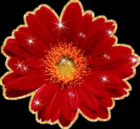 С герберами Открытки С днём рождения с герберами. Открытки с герберами. 